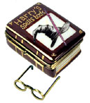 Harry Potter book with glasses Limoges box