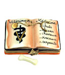 Limoges box book of veterinary medicine