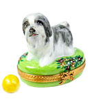 grey shih-tzu or Havanese dog limoges box with ball